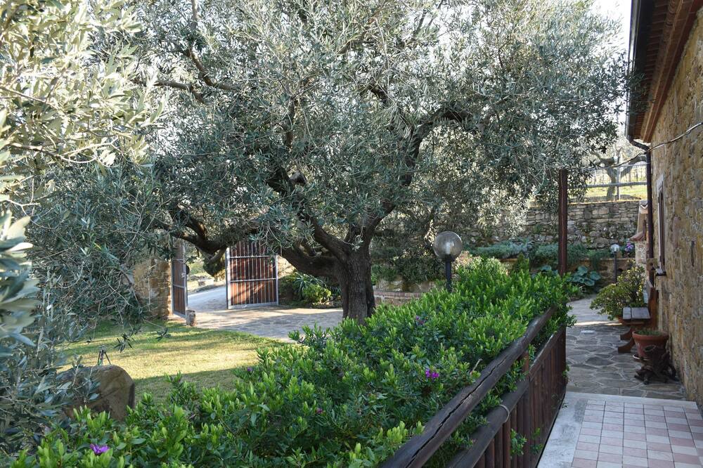 Photo of Outdoor in Castellabate