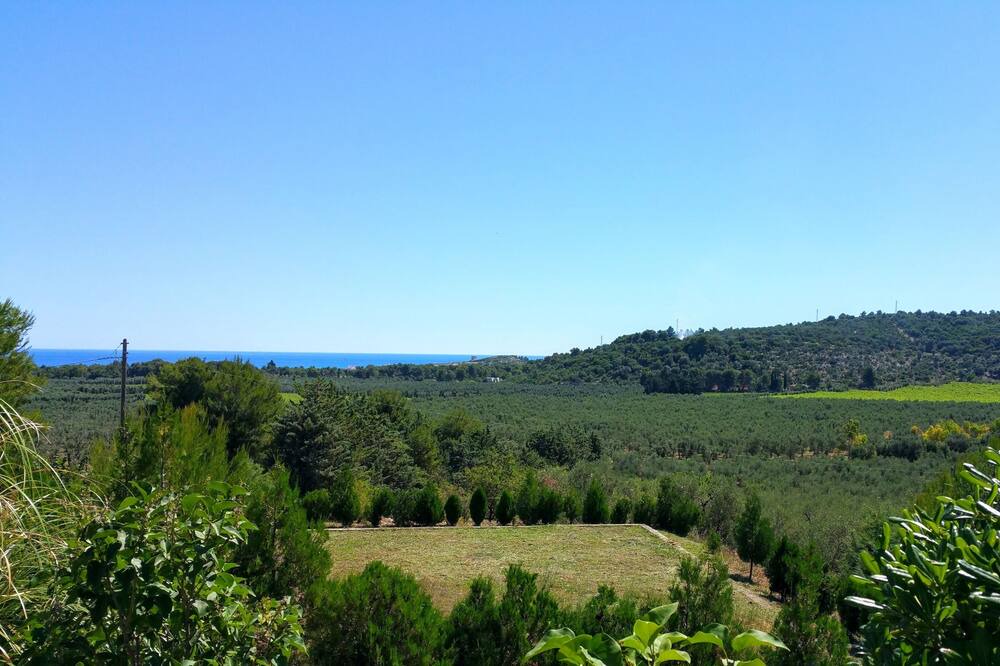 Photo of Outdoor in Montincello