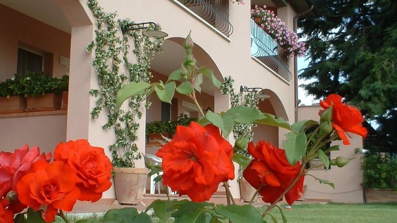 Photo of Outdoor in Manciano