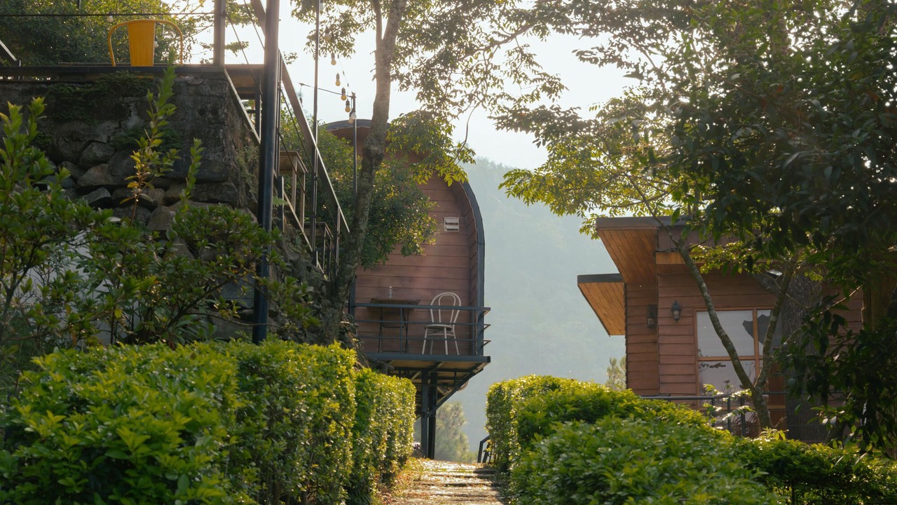 Photo of Outdoor in Tam Dao