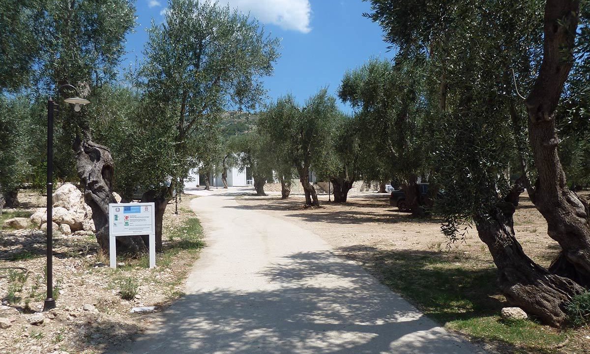 Photo of Outdoor in Mattinata