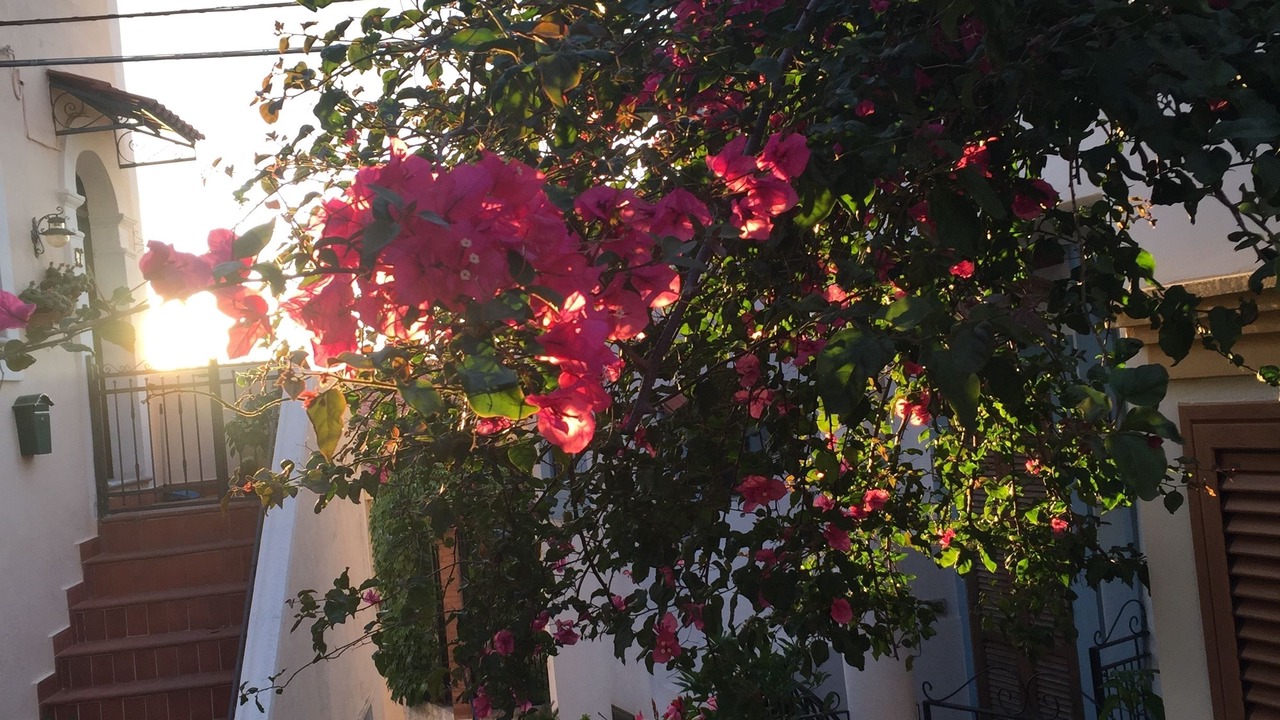 Photo of Outdoor in San Nicola Arcella