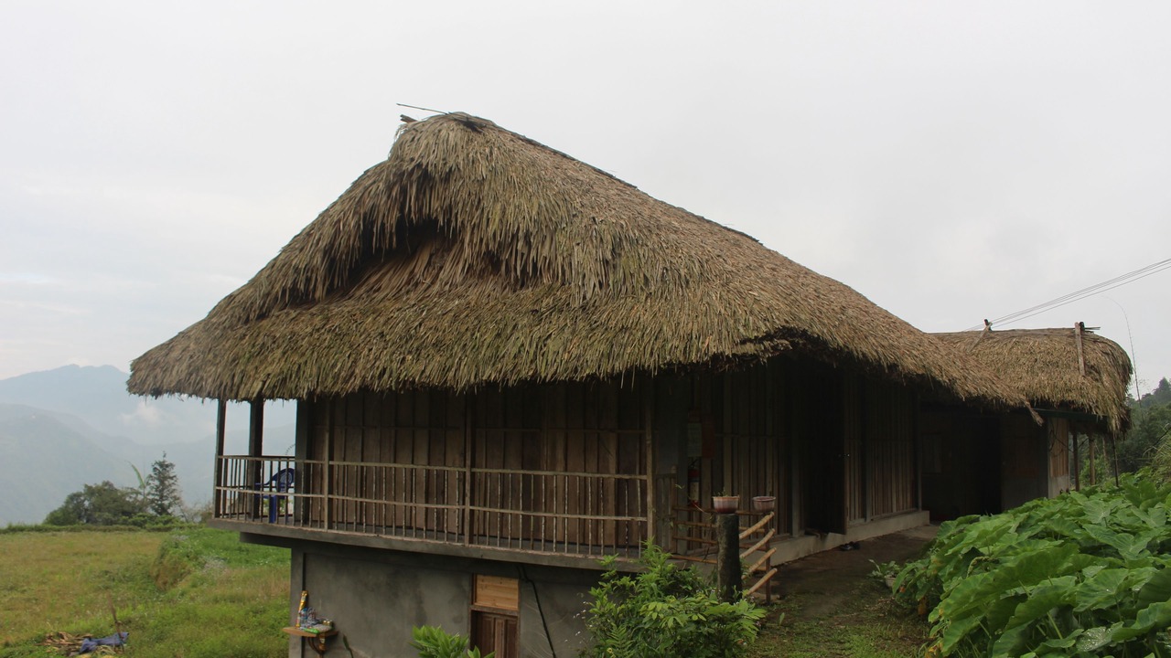 Photo of Outdoor in Thong Nguyen