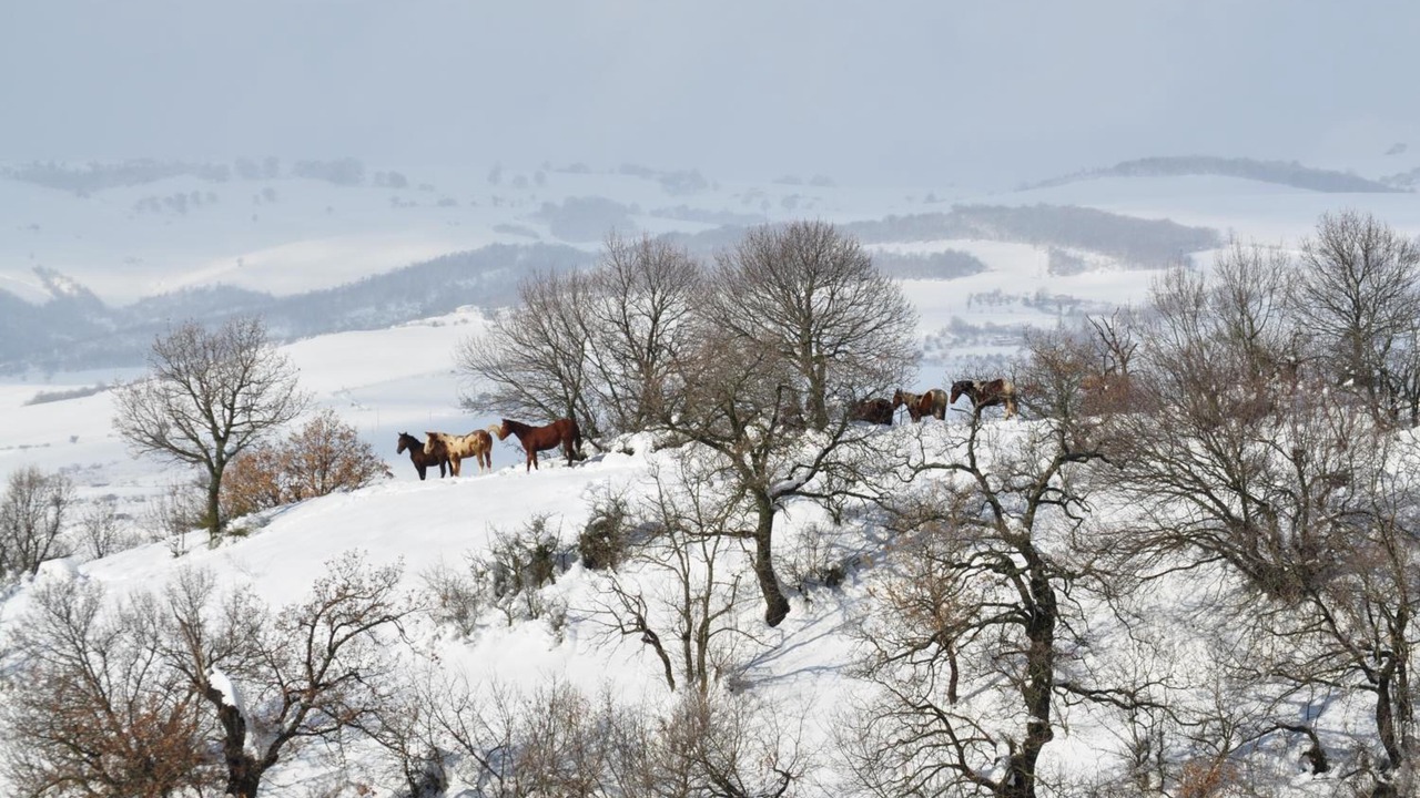 Photo of Outdoor in San Chirico Nuovo