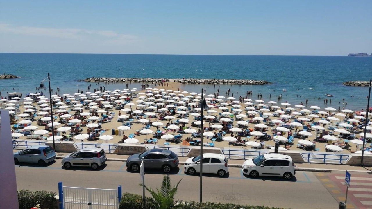 Photo of Others in Gianola