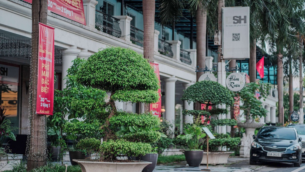 Photo of Outdoor in Thai Nguyen