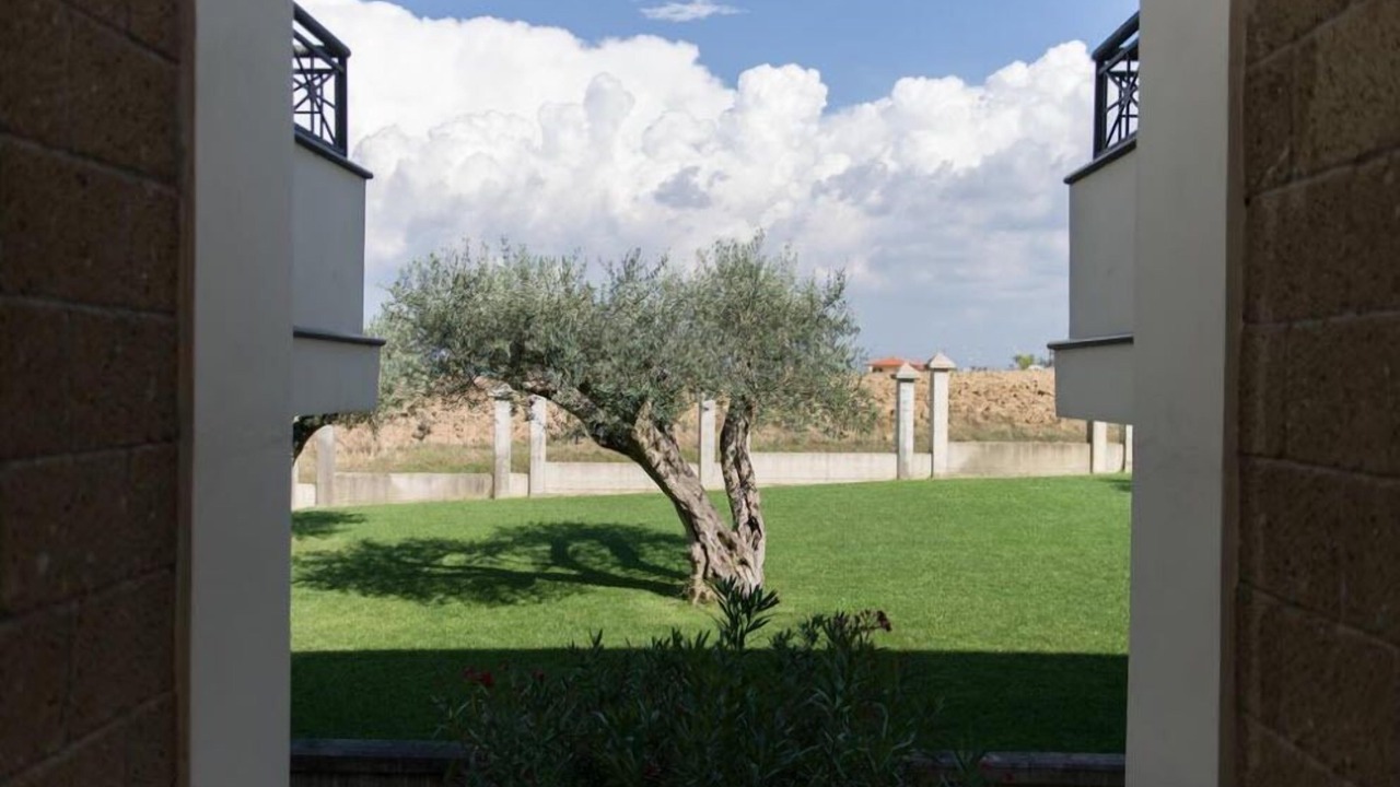 Photo of Outdoor in Cordoba