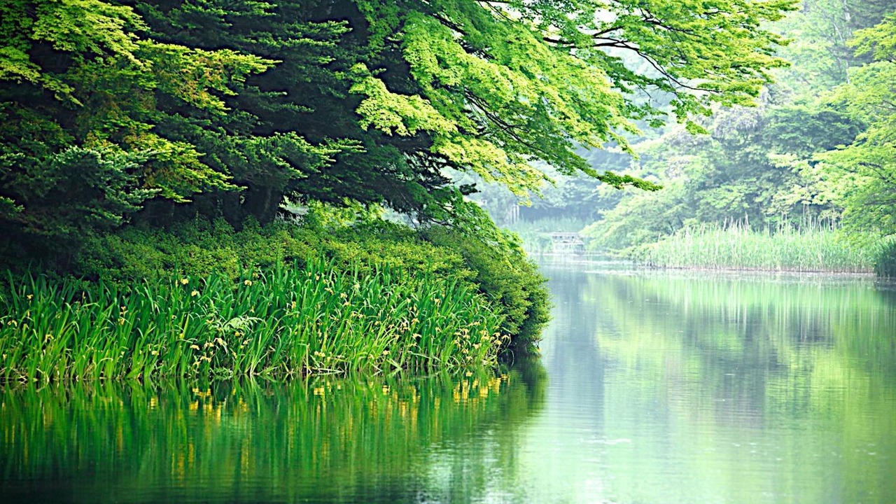 Photo of Outdoor in Karuizawa