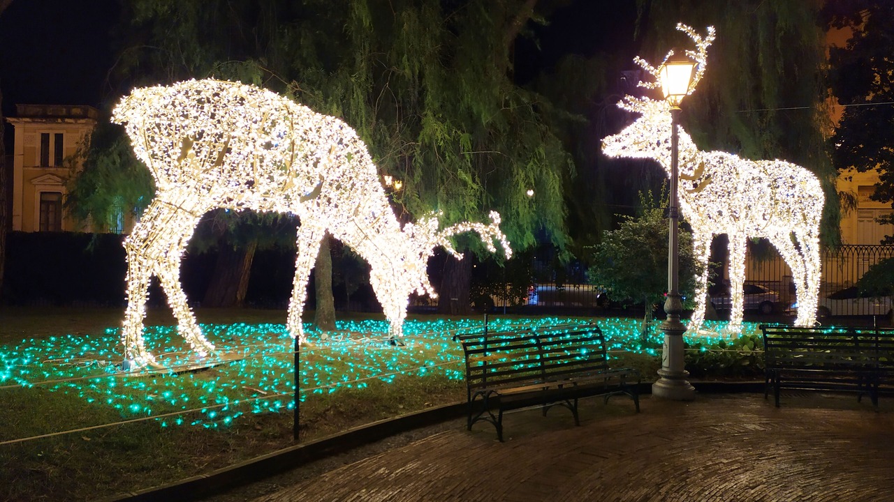 Photo of Outdoor in Historical Downtown Salerno
