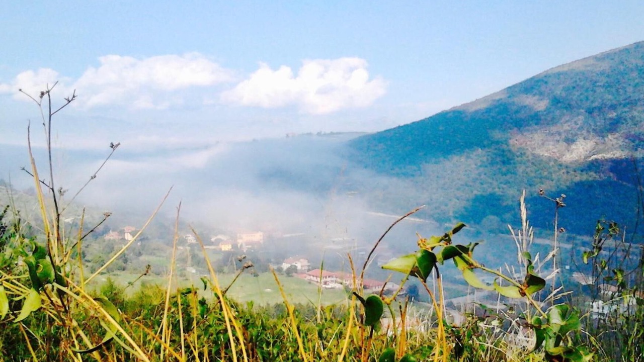 Photo of Outdoor in Caserta