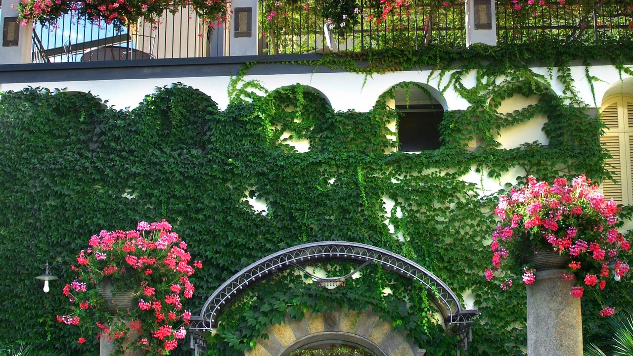 Photo of Outdoor in Ravello