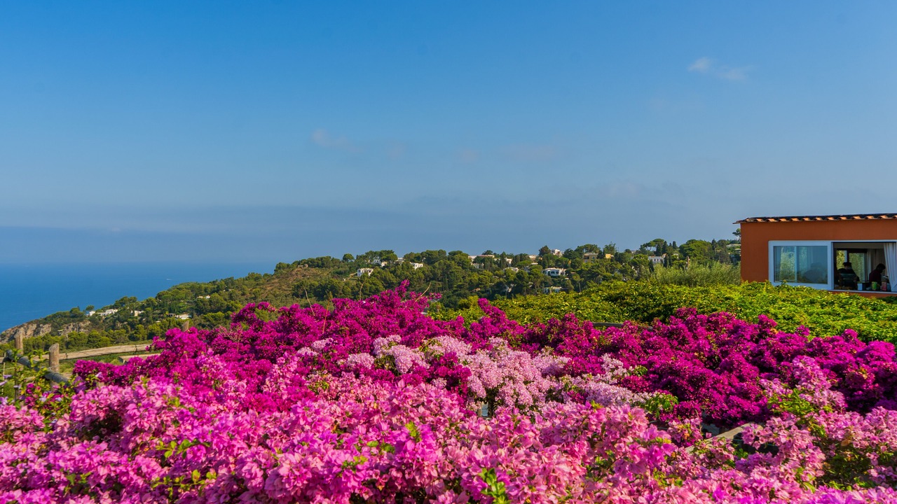 Photo of Others in Anacapri
