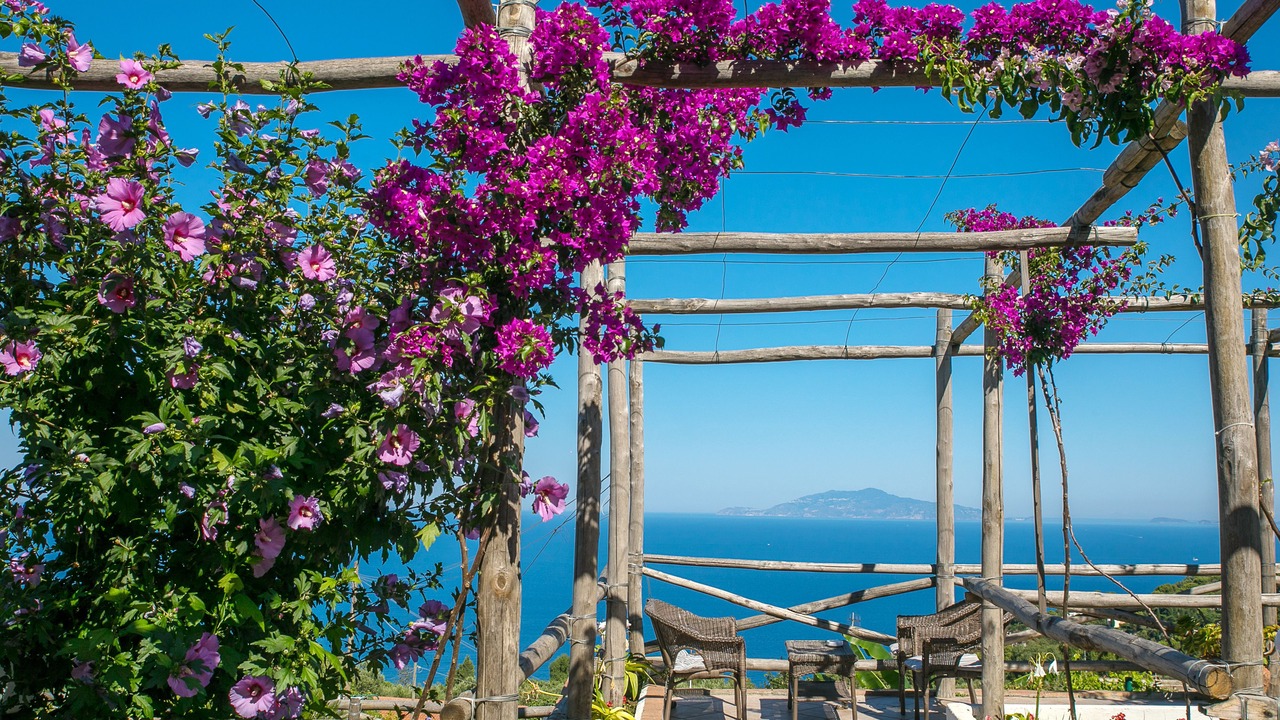 Photo of Outdoor in Anacapri