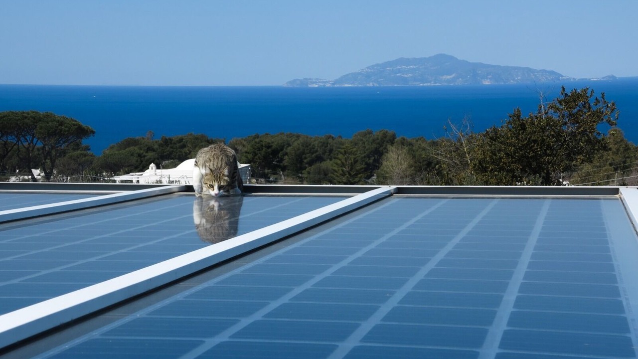 Photo of Outdoor in Anacapri