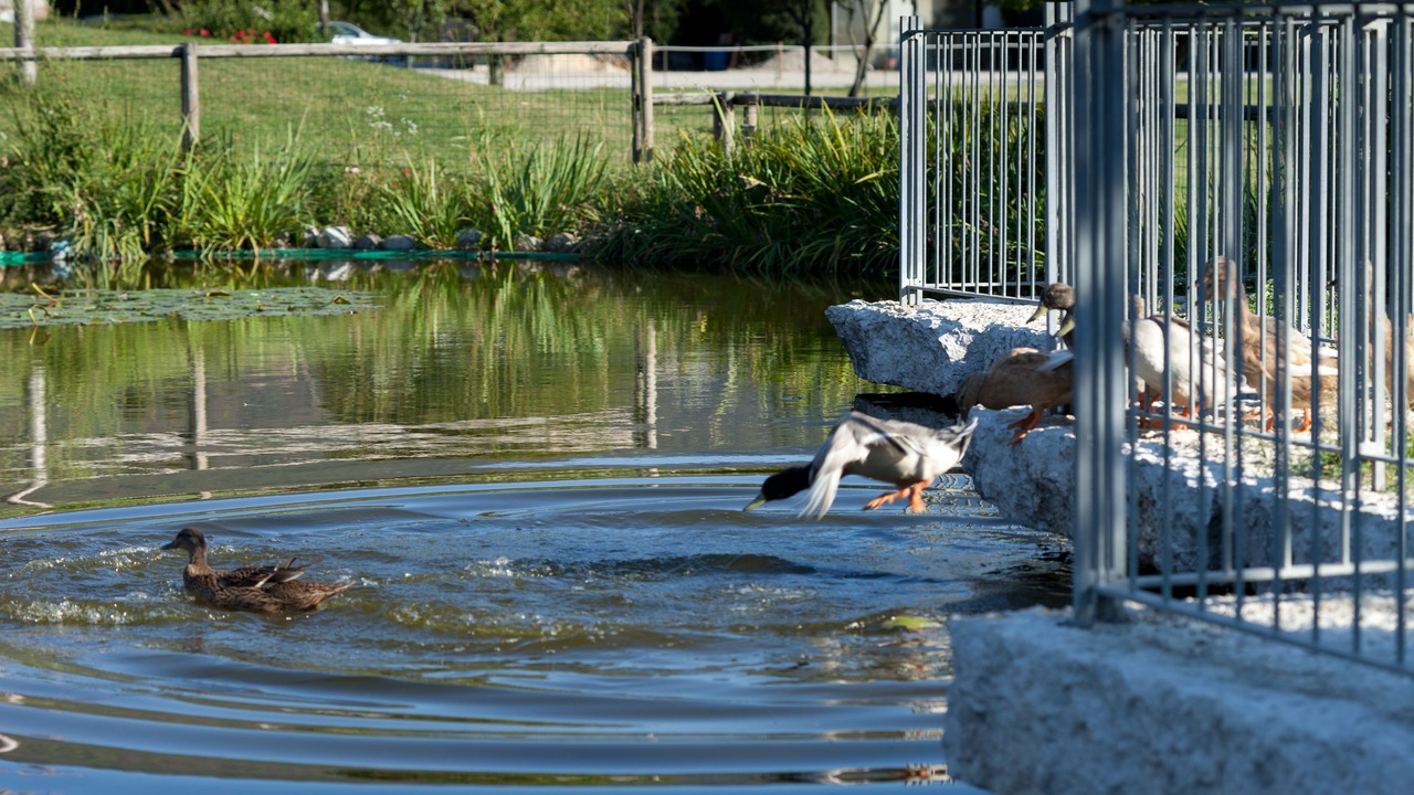 Photo of Outdoor in Bassano del Grappa