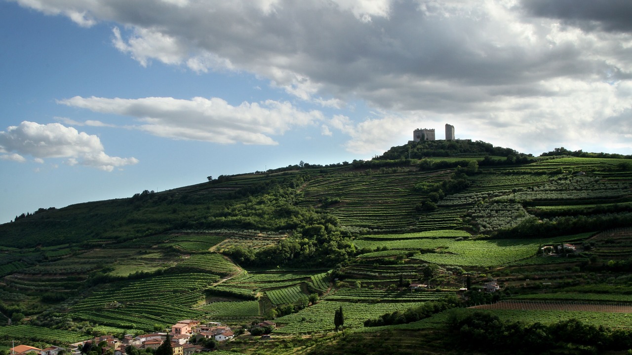 Photo of Outdoor in Cazzano Tramigna