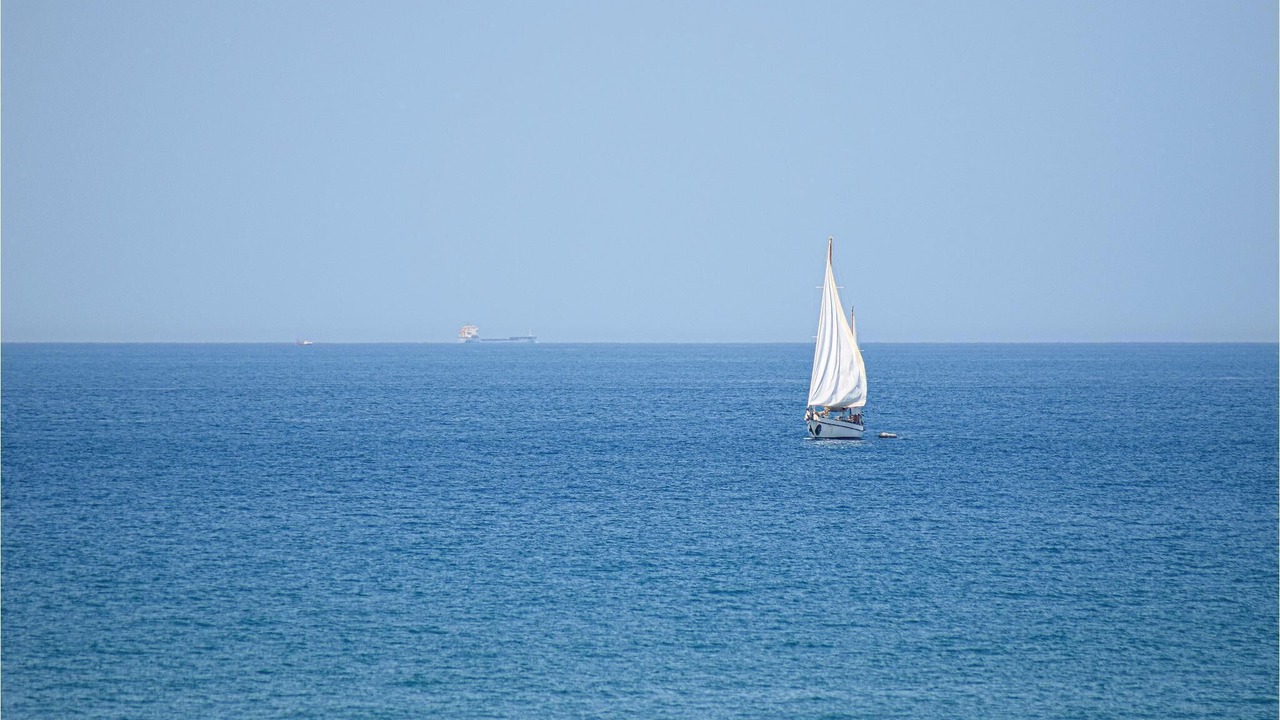 Photo of Others in Scario