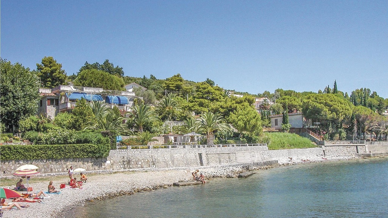 Photo of Others in Scario