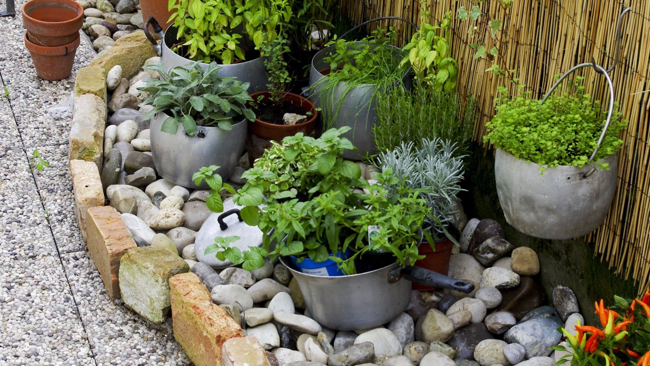 Photo of Outdoor in Oriago