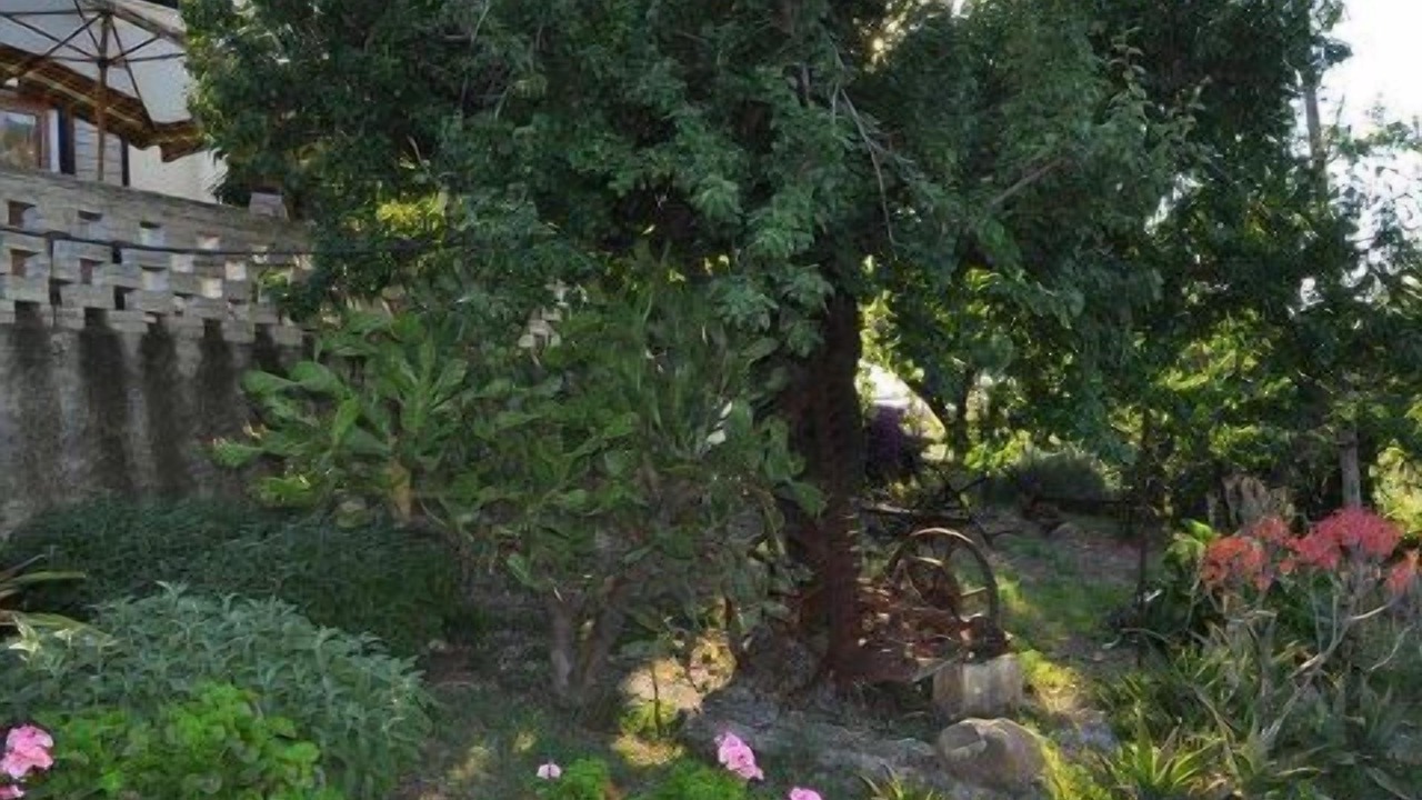 Photo of Outdoor in Rotondella
