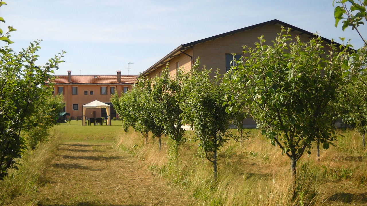 Photo of Outdoor in Roncade