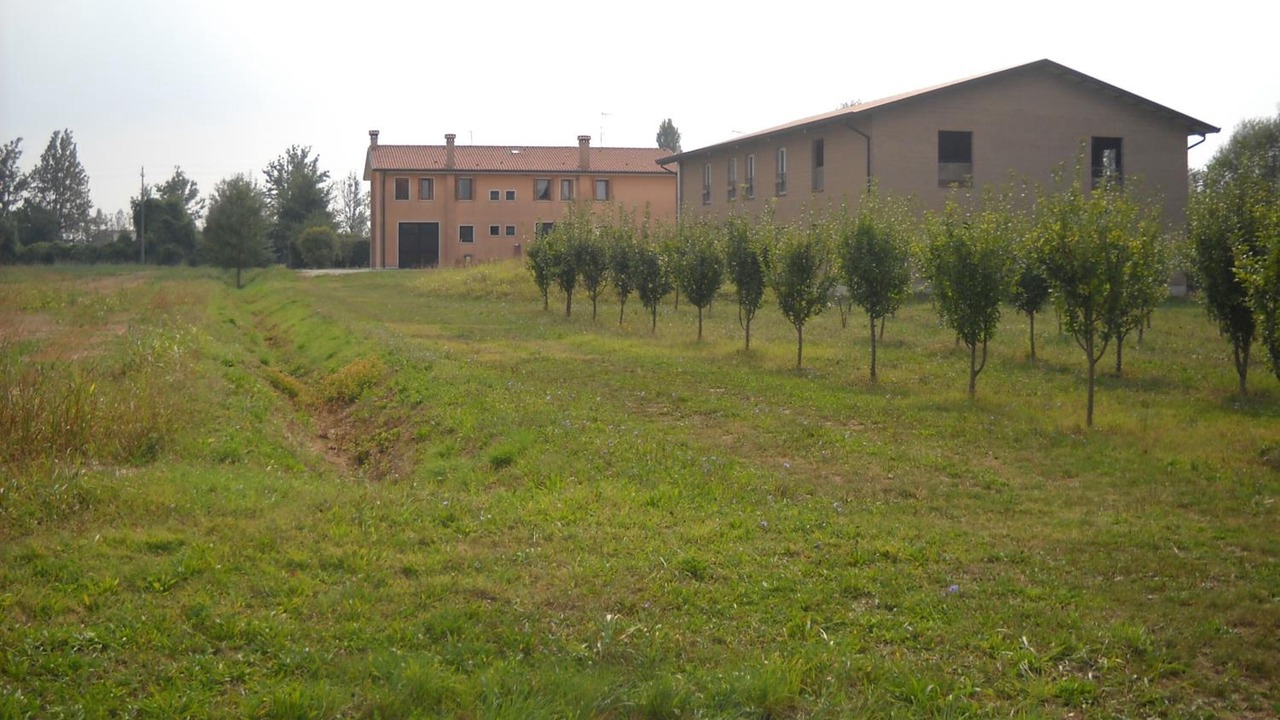 Photo of Outdoor in Roncade