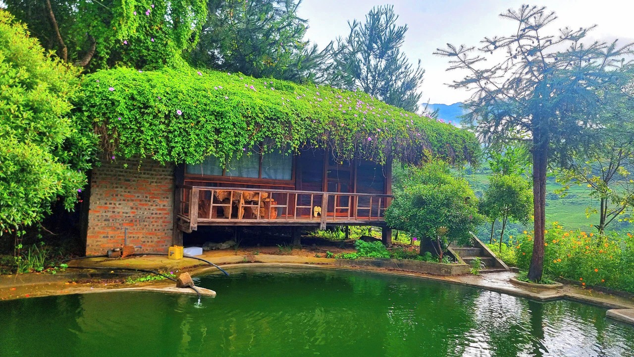 Photo of Others in Mu Cang Chai
