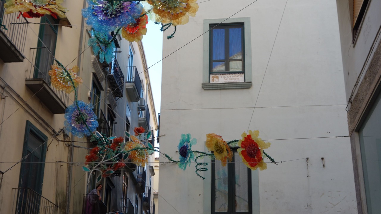 Photo of Others in Historical Downtown Salerno