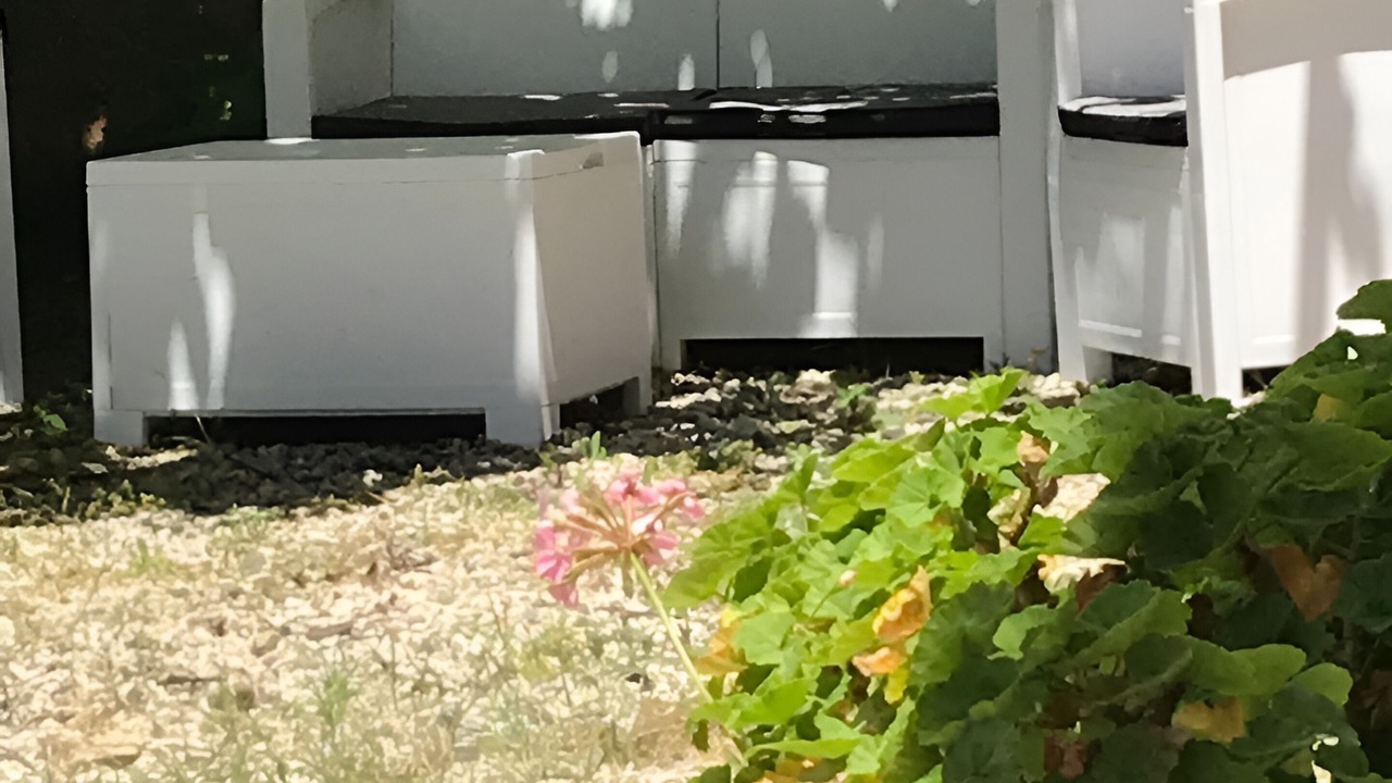 Photo of Outdoor in Marina Di Camerota