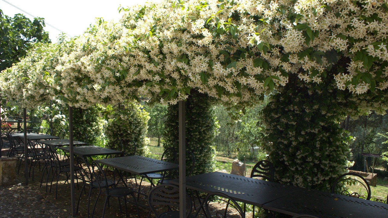 Photo of Outdoor in Manciano