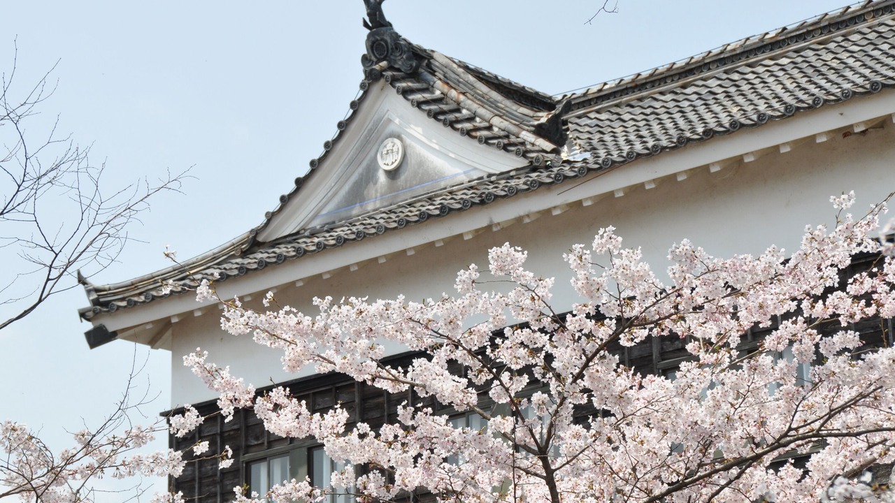 Photo of Others in Kameyama