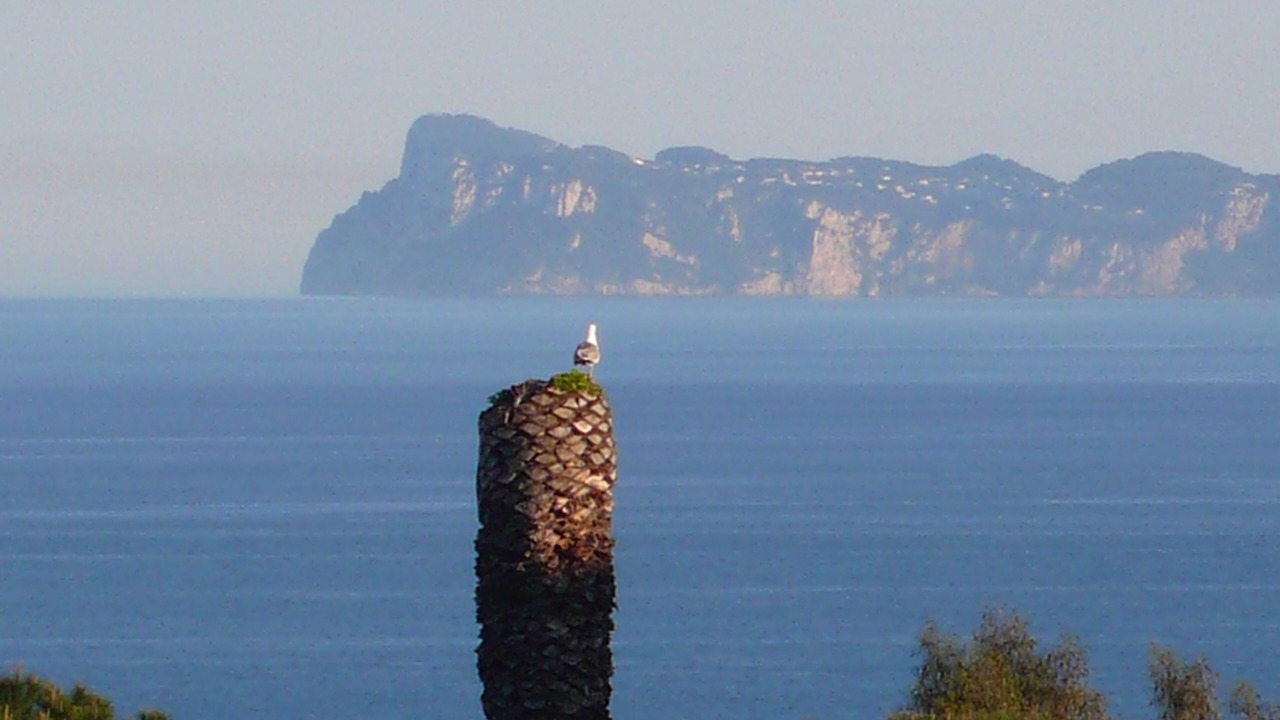 Photo of Others in Posillipo