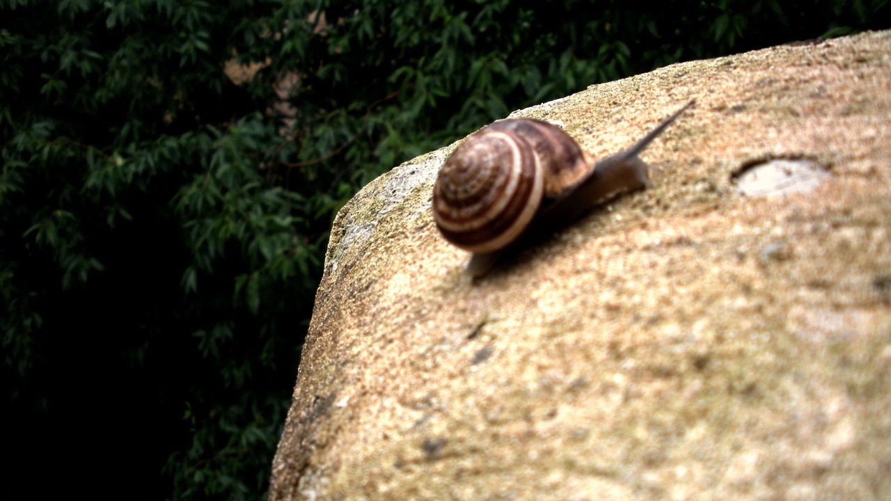 Photo of Others in Capaccio Scalo