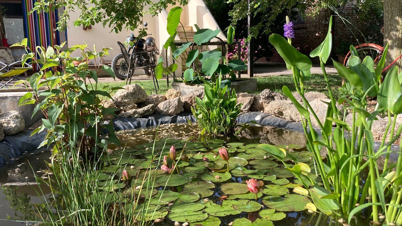 Photo of Outdoor in Capaccio Scalo
