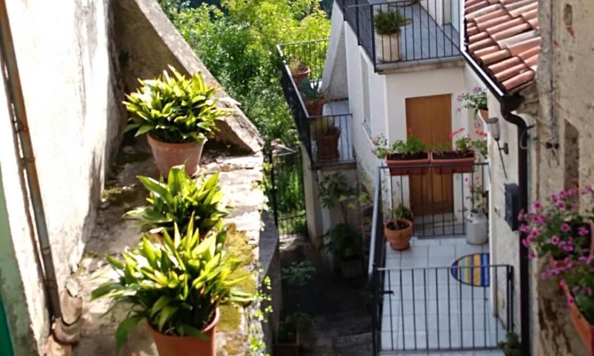 Photo of Outdoor in Rivello