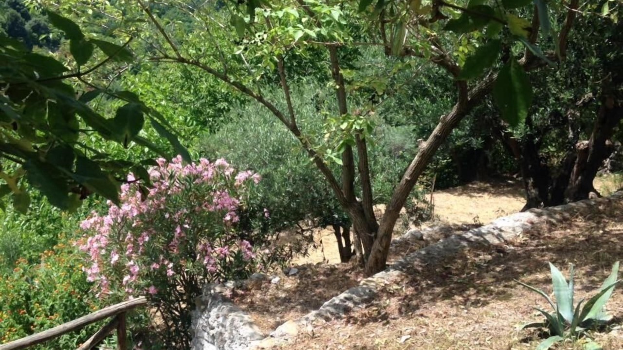 Photo of Outdoor in Rivello