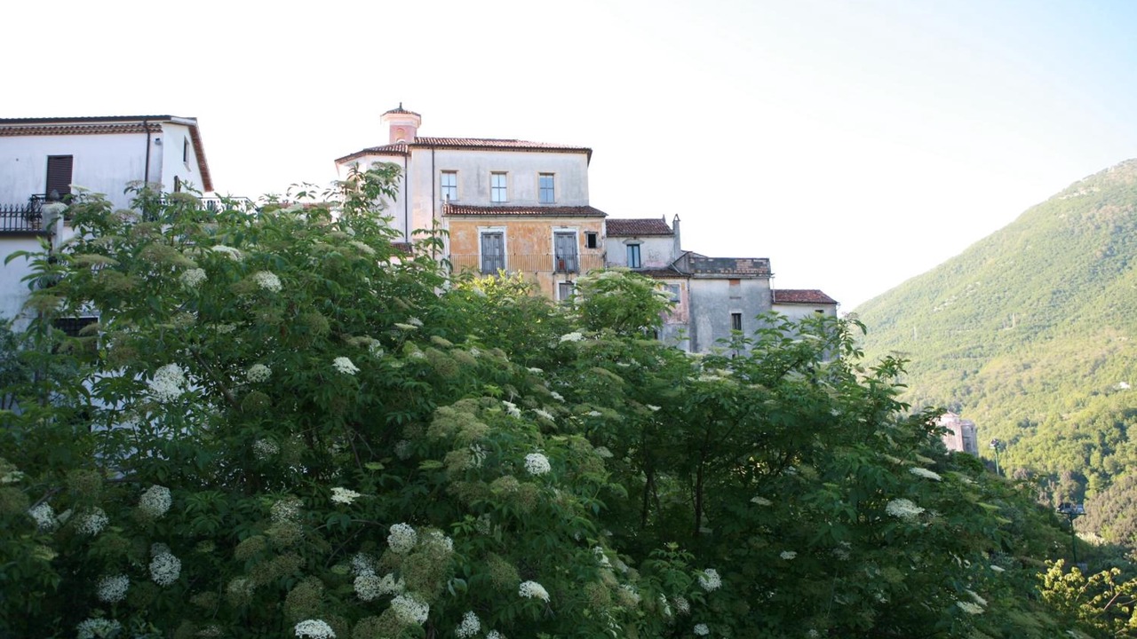 Photo of Outdoor in Rivello