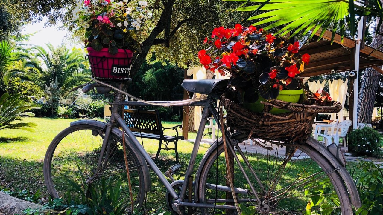 Photo of Outdoor in Montesilvano
