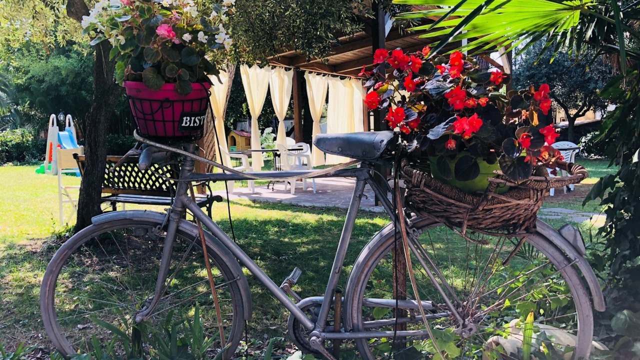 Photo of Outdoor in Montesilvano