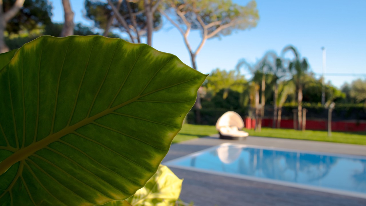 Photo of Outdoor in Zona XXV Vallerano