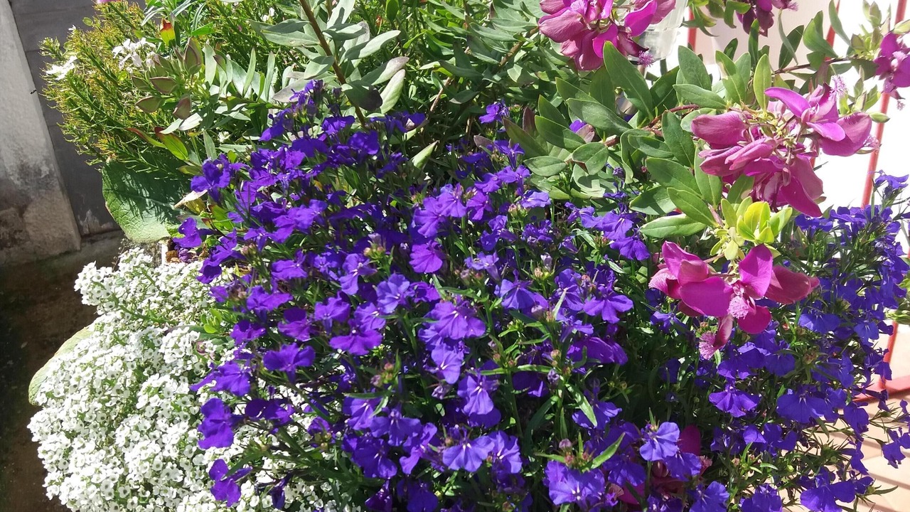 Photo of Outdoor in Introdacqua