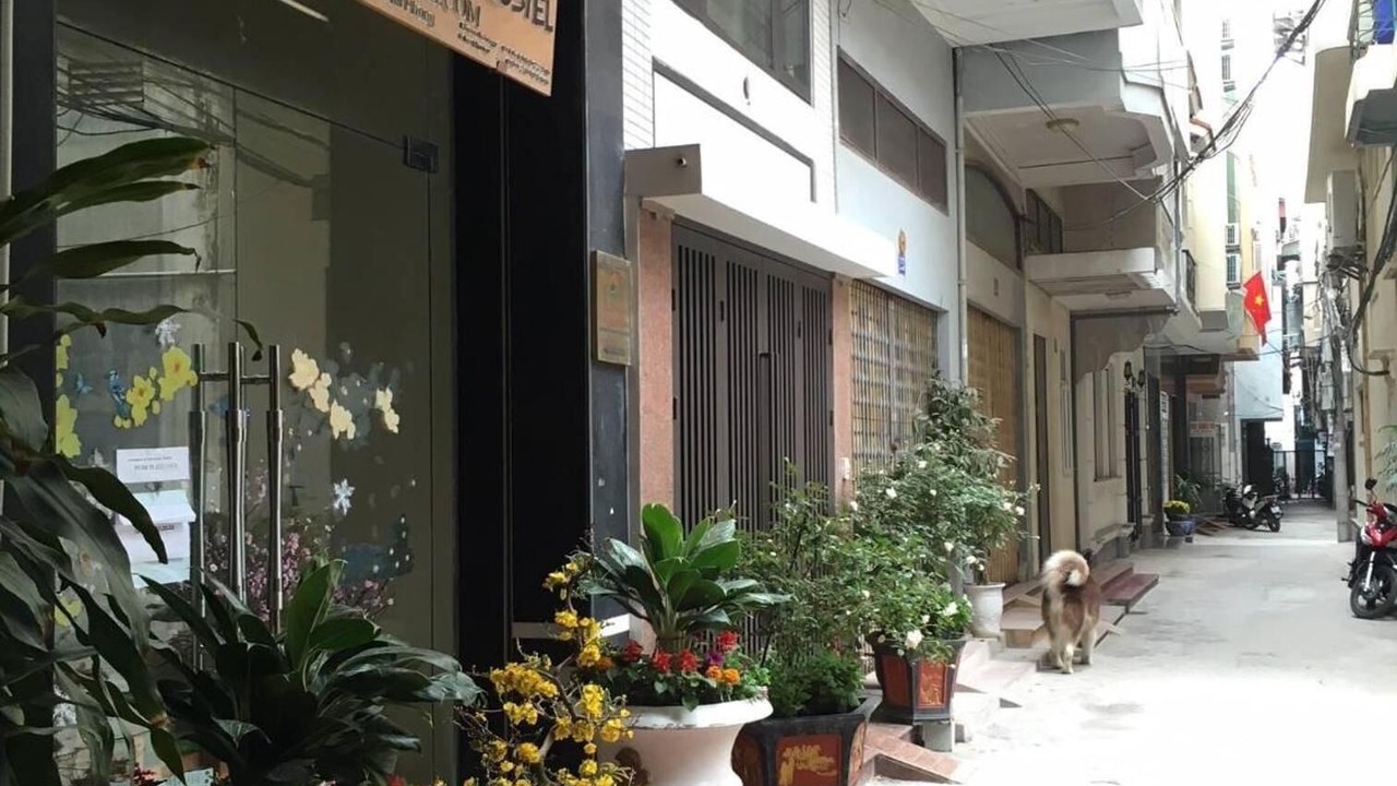 Photo of Outdoor in Hai Phong