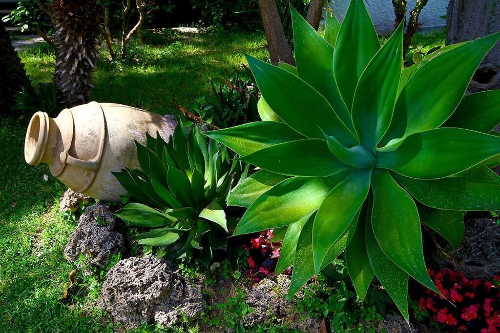 Photo of Outdoor in Panza