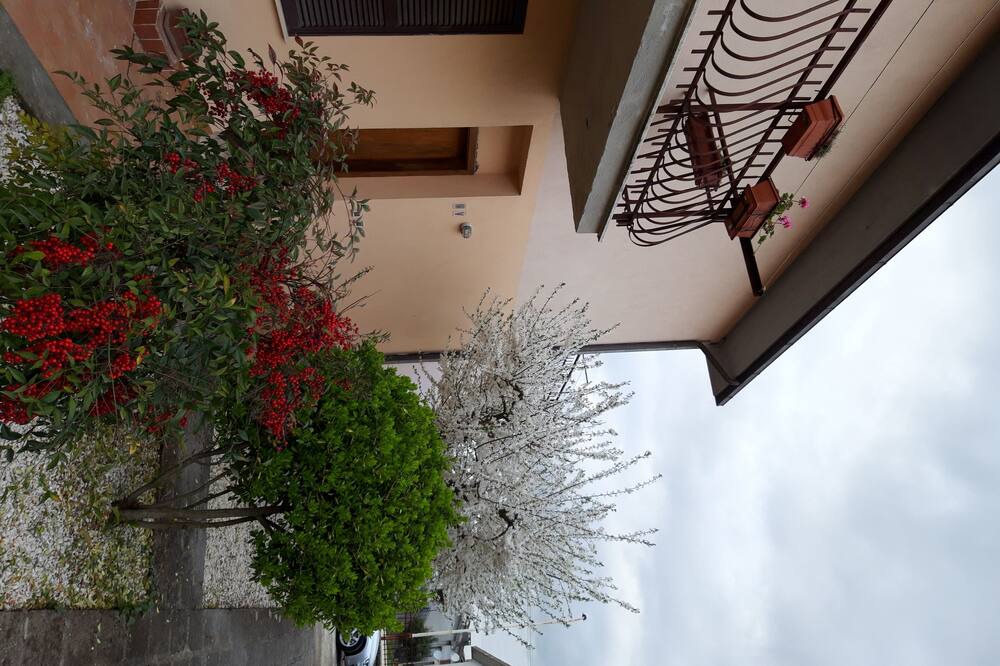 Photo of Outdoor in Vasanello