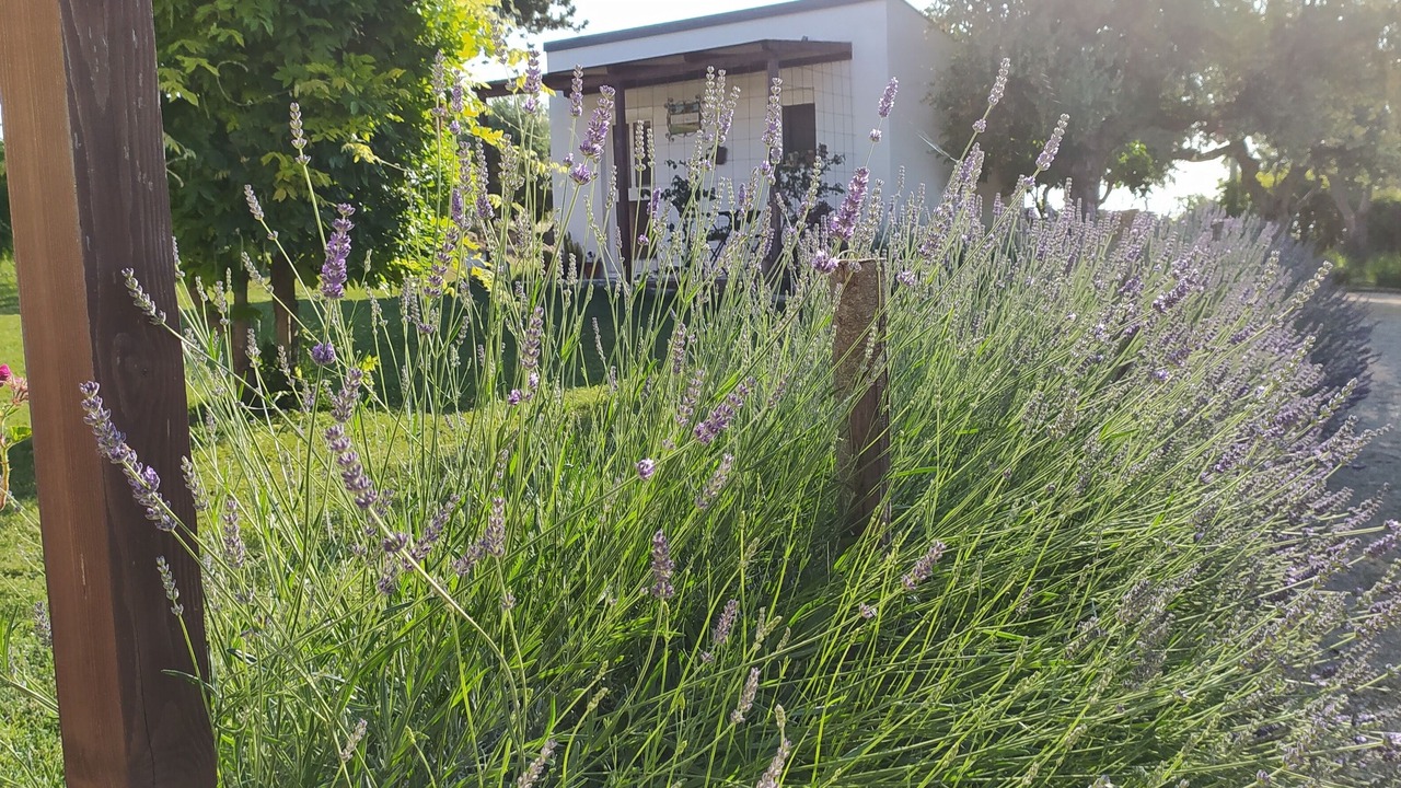 Photo of Outdoor in Torino di Sangro