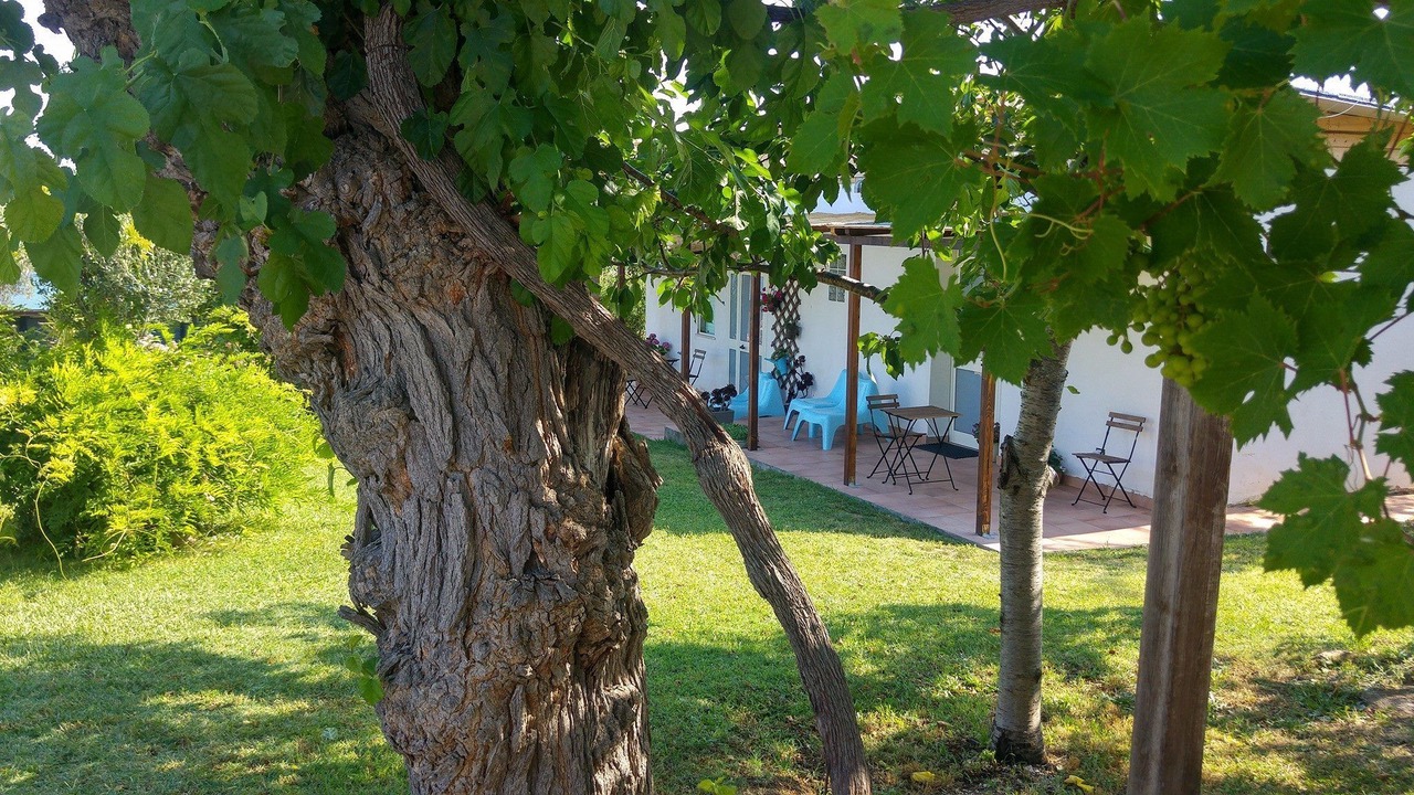 Photo of Outdoor in Torino di Sangro
