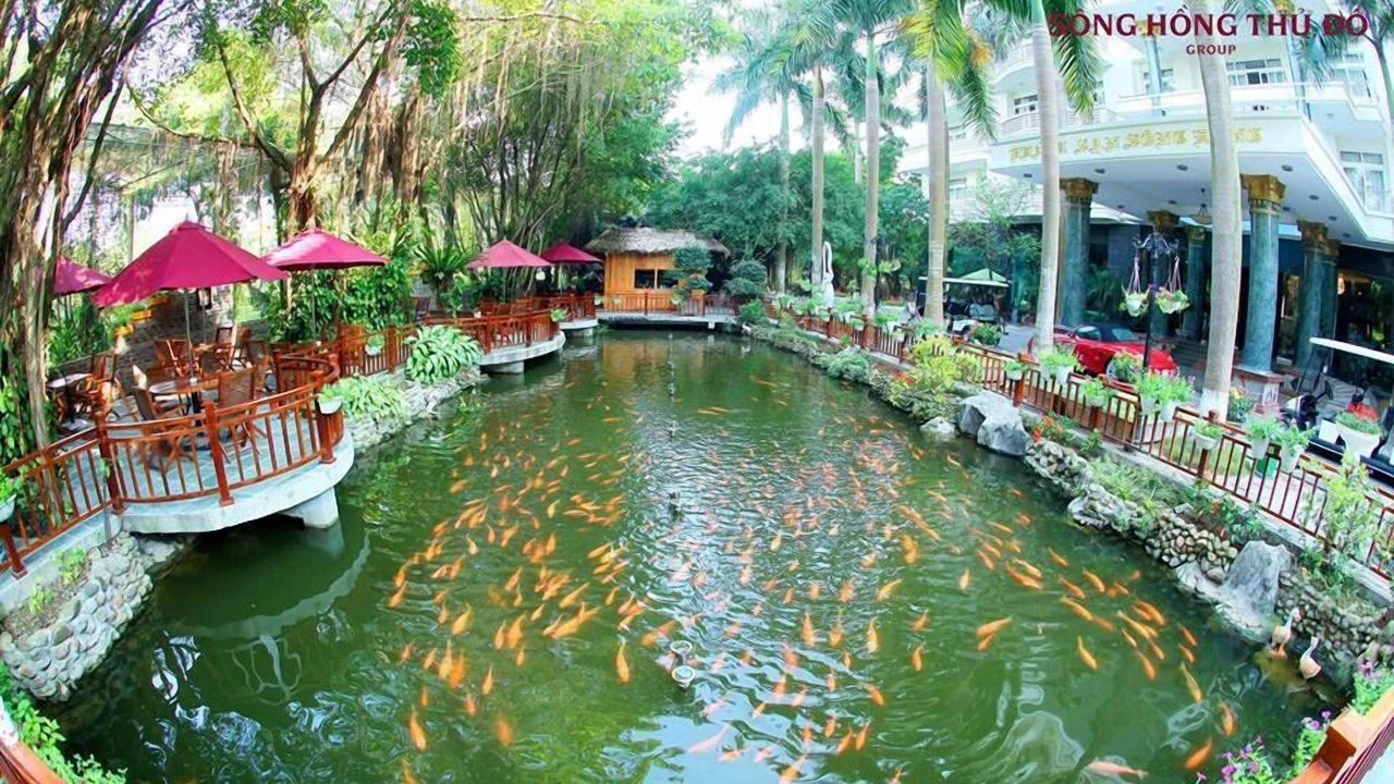 Photo of Others in Vinh Yen