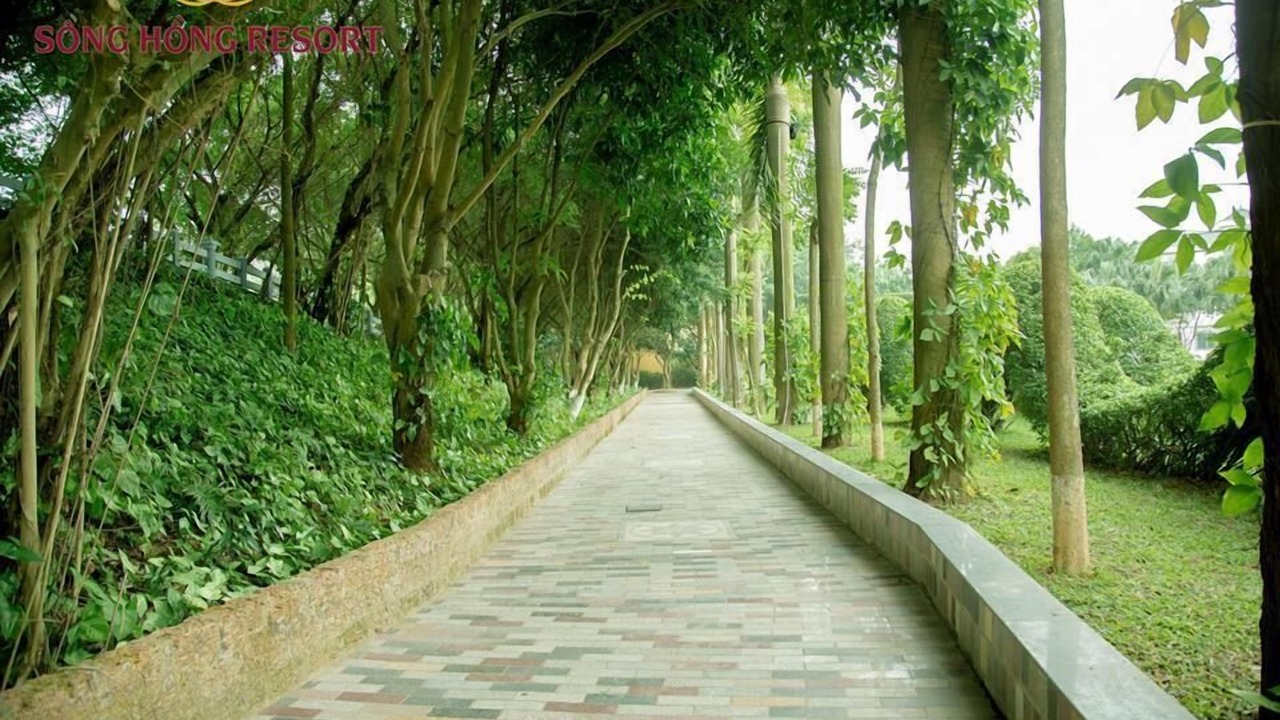 Photo of Outdoor in Vinh Yen