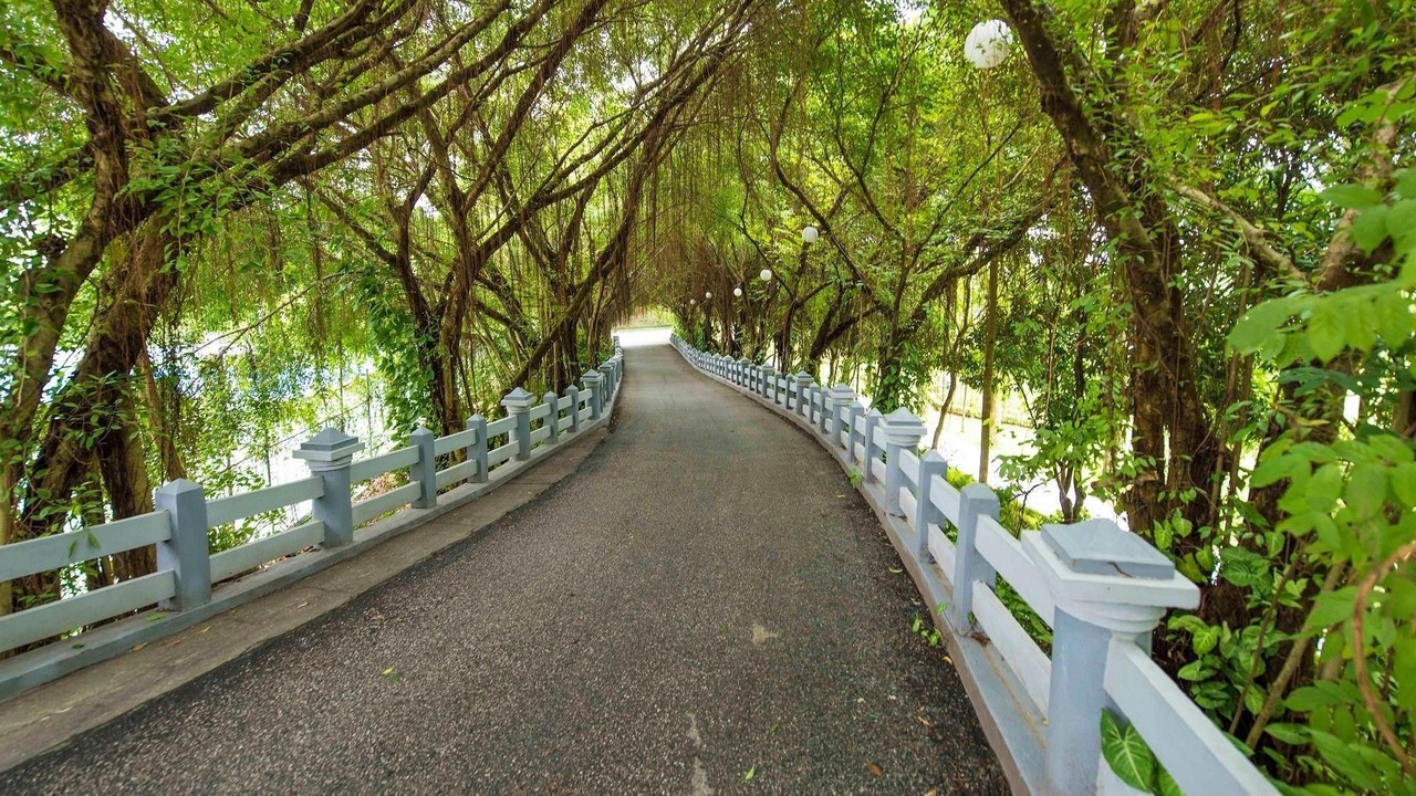 Photo of Outdoor in Vinh Yen
