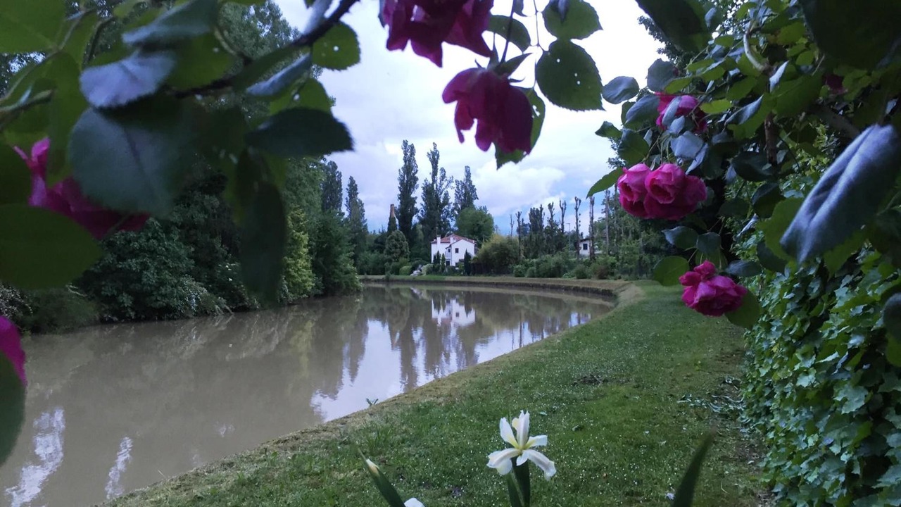 Photo of Outdoor in Dolo